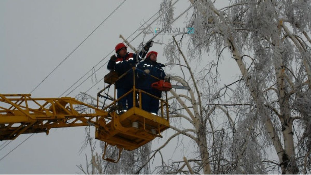 Энергетики из других регионов помогают убирать лед с проводов в алтайском селе
