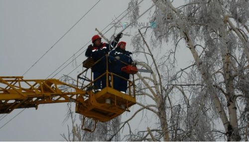 Энергетики из других регионов помогают убирать лед с проводов в алтайском селе