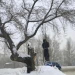 Огромный мешок с человеческим силуэтом повесили на дереве в Бийске