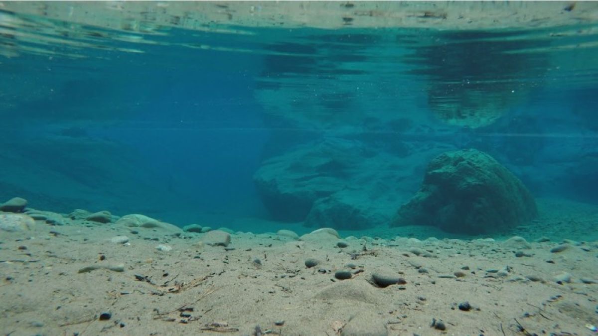 Ученые нашли в алтайских озерах "поставщиков" азота