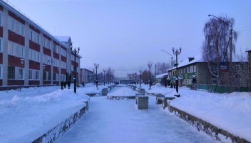 Злоумышленники украли новогодние гирлянды возле администрации в алтайском городе