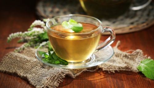 Чай для Путина: какие рецепты алтайских сборов пришлись бы по вкусу президенту