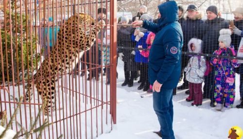 Барнаульский зоопарк устроит пир для хищников 1 января. В меню семга и индейка