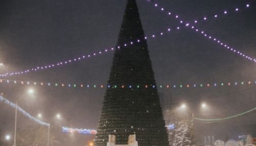 Ёлочка, гори: как выглядит площадь Сахарова перед открытием. Фоторепортаж