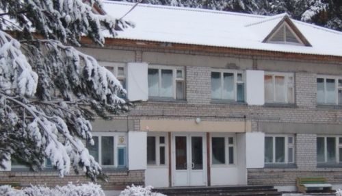Вожатый лагеря отдыха в Алтайском крае уволился после скандала со свастикой