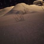 Барнаулец продает снег на Авито по очень низкой цене