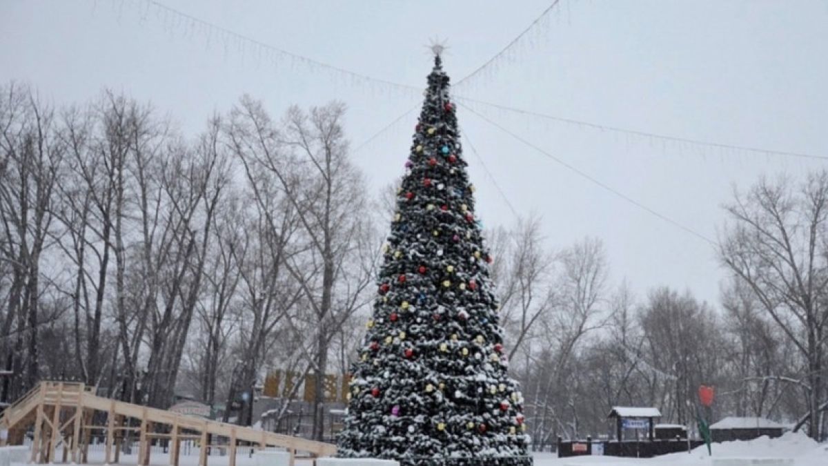 Открытие ёлок: какие улицы перекроют в Барнауле 28 декабря