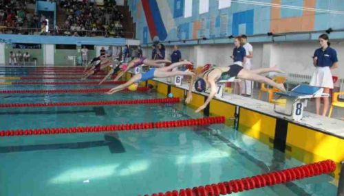 Чемпионат по плаванию пройдет в Алтайском крае 28 декабря
