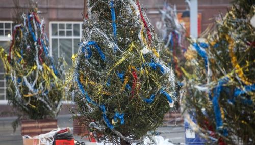 Составлен рейтинг самых ужасных новогодних елок и снежных городков страны