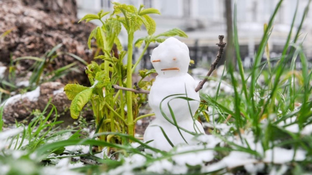 Синоптики прогнозируют сохранение теплой погоды в Сибири этой зимой