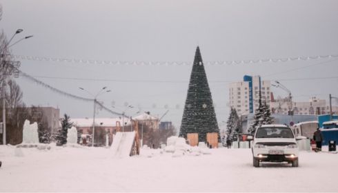 Барнаульская елка вошла в топ-5 самых высоких елей страны