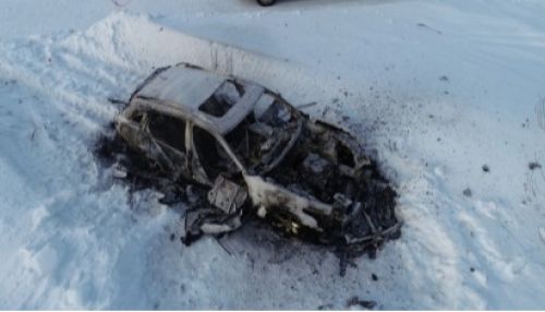 Двух барнаульцев застрелили и сожгли в собственной машине
