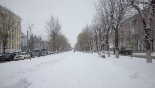 Алтайский край 13 декабря штормит из-за снега, метелей и сильного ветра