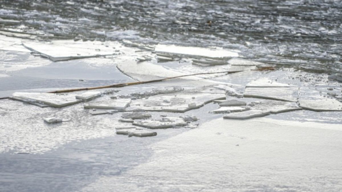 Трое мужчин провалились под лед в Москве