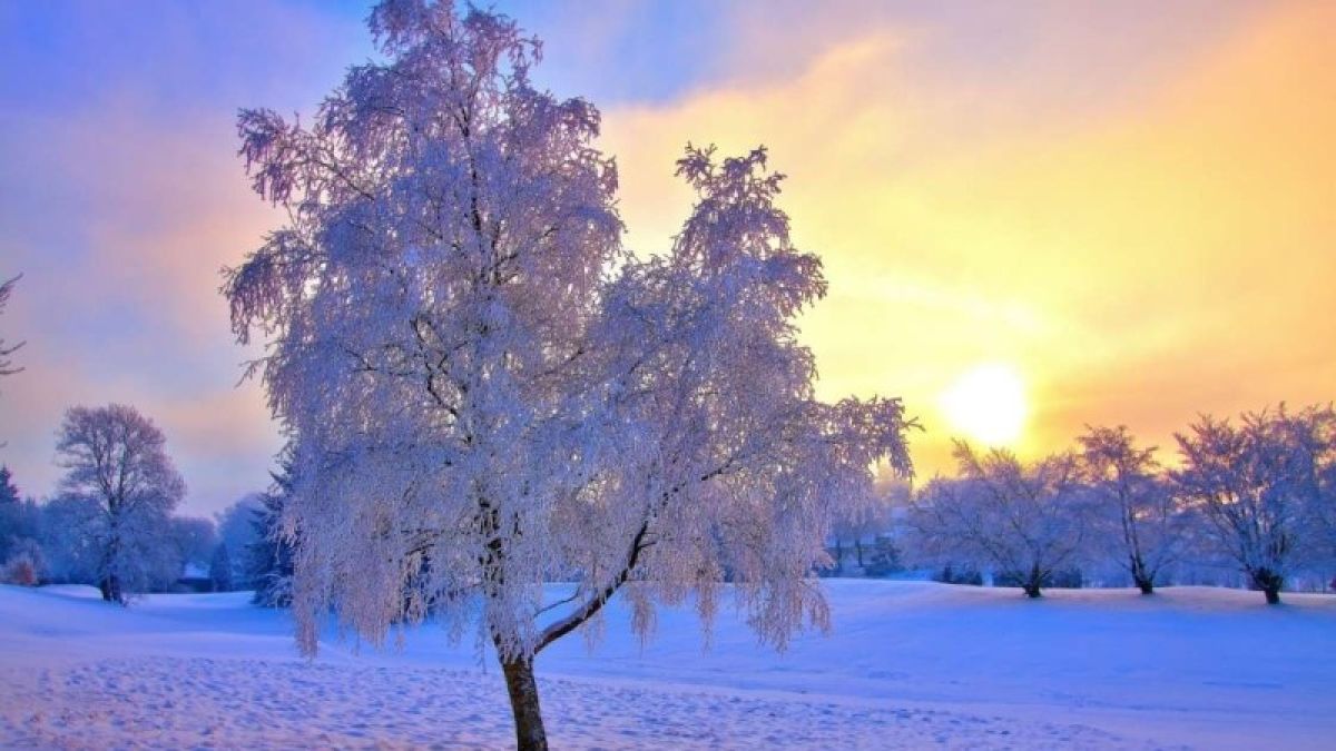 Вторая волна снегопадов с метелями ожидается в Алтайском крае