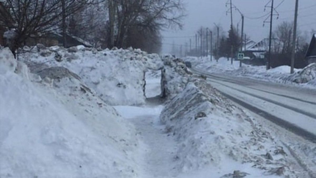 Бийчане прокопали туннель в сугробе