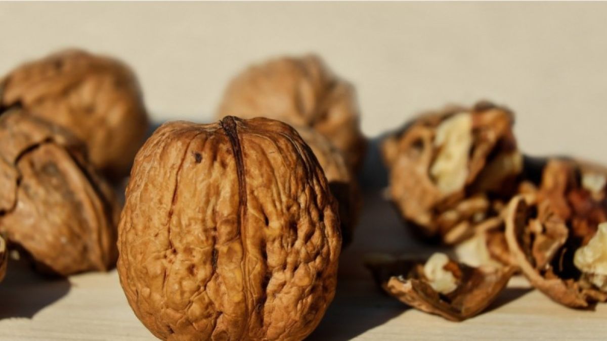 Почему нужно есть грецкие орехи и как они влияют на организм?