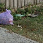 Жители алтайского села не хотят платить за вывоз мусора и умерших соседей