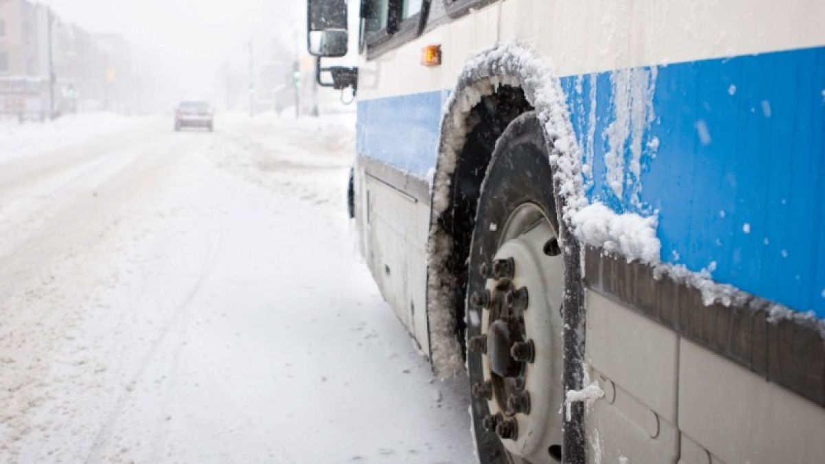 Автобус, следовавший рейсом Улан-Батор-Нур-султан, упал в кювет в Алтайском крае
