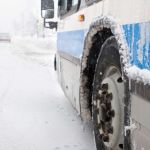 Автобус, следовавший рейсом Улан-Батор-Нур-султан, упал в кювет в Алтайском крае