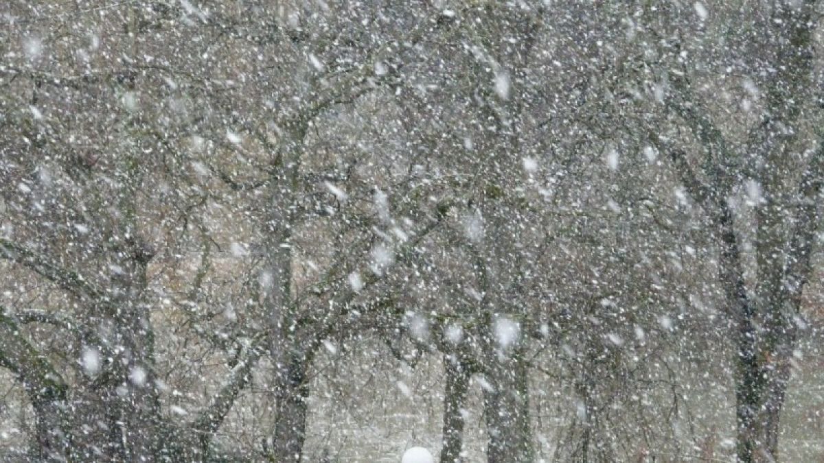 Опять метель: снег с сильным ветром надвигается на Алтайский край