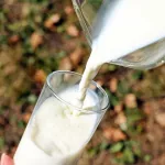 В Алтайском крае проверяют скупщиков молока на участие в ценовом сговоре
