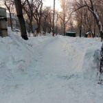Лучше бы лопаты всем дали: как Томенко проводит снежную ревизию на юге Алтая