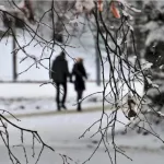 В Алтайском крае ожидается теплый февраль без крепких морозов
