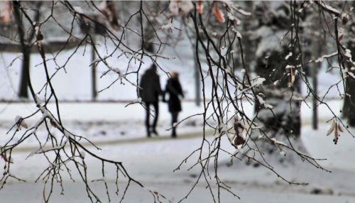 Дальше теплее: какая погода будет 1 февраля в Алтайском крае