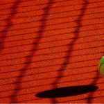 В Барнауле открывается школа большого тенниса
