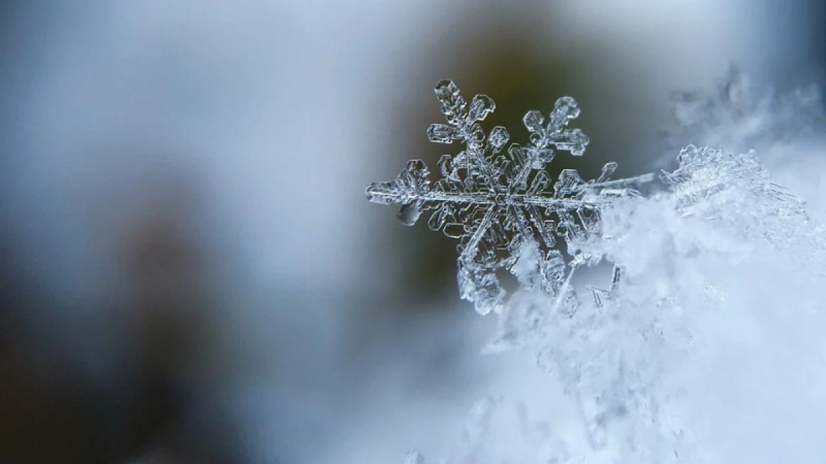 Морозно и ветрено: о погоде 2 февраля в Алтайском крае и Барнауле