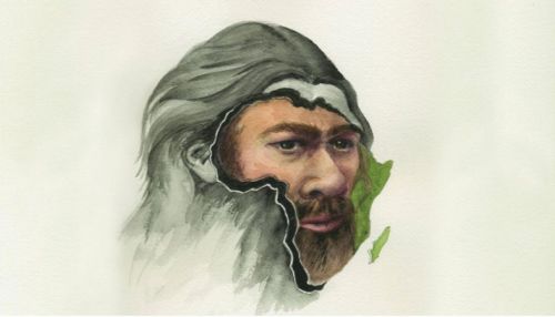 Предками африканцев оказались неандертальцы