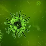 В ВОЗ заявили о возможном появлении нового опасного штамма коронавируса