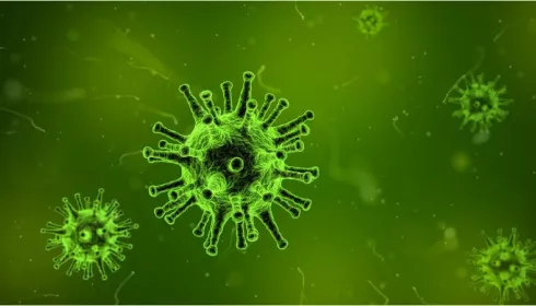 В ВОЗ заявили о возможном появлении нового опасного штамма коронавируса
