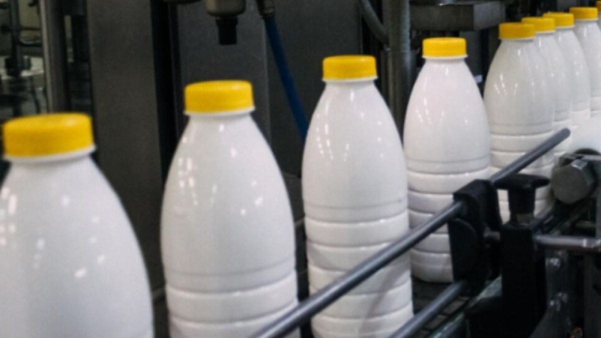 Три фантомных предприятия Алтайского края поставляли "молочку" в другие регионы