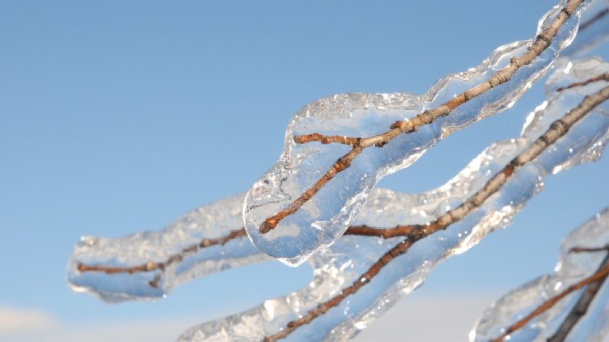 Очередная стихия: ледяной дождь и ветер накроют Алтайский край