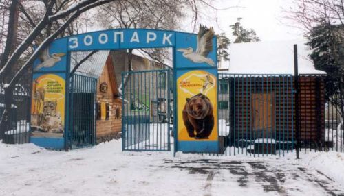 Зоопарк Новосибирска откроет контактный зверинец