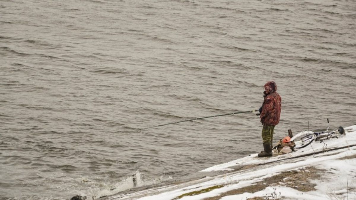 Речная рыба может погибнуть из-за аномально теплой зимы в России