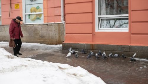 Каток под ногами и дождь: ненастная погода придет на Алтай на выходных