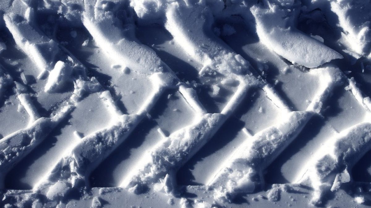 На видео попала тайная разгрузка снега в барнаульском парке "Изумрудный"