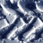 На видео попала тайная разгрузка снега в барнаульском парке Изумрудный