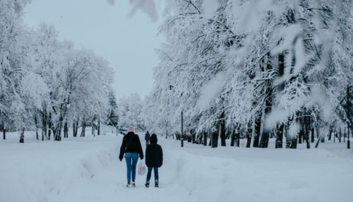 Город-сказка: фантастические снежные пейзажи Барнаула в объективе ТОЛКа