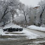 В центре Барнаула под тяжестью снега рухнуло дерево