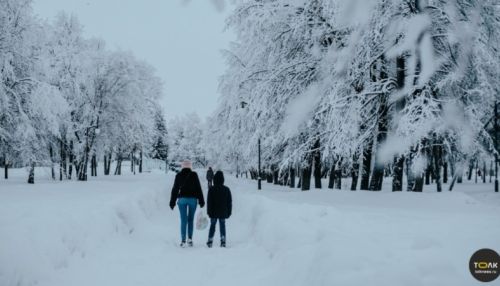 Снег облепит провода: на Алтае после оттепели ударит мороз