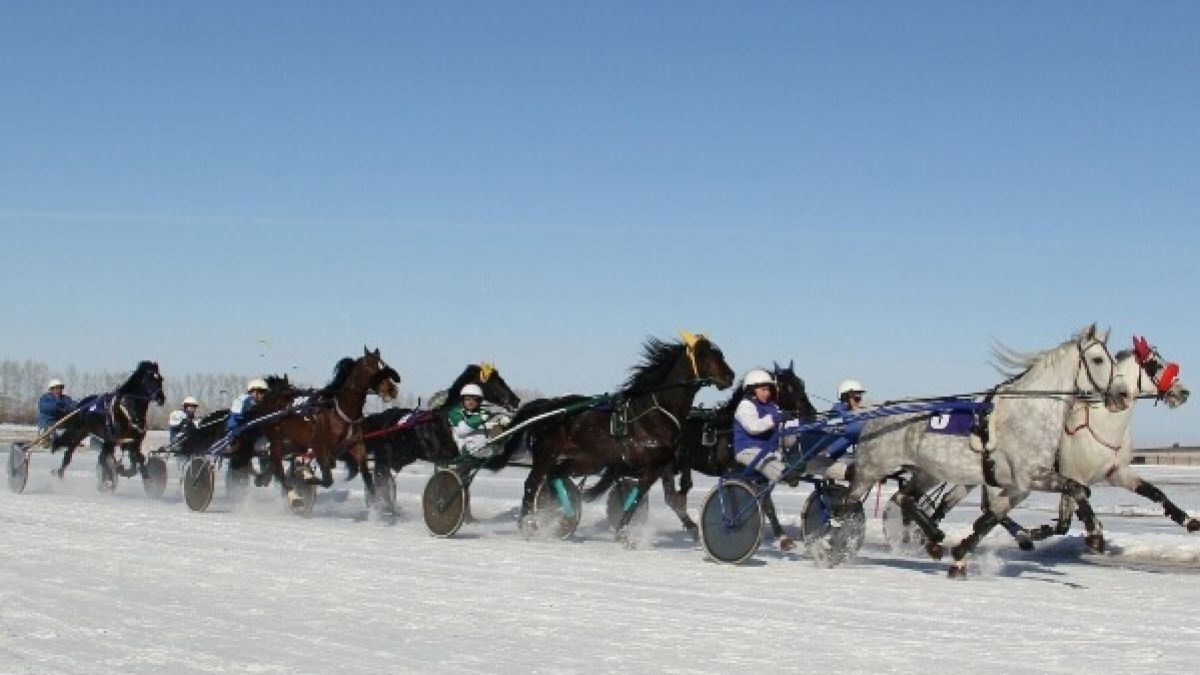 На "Сибирской Масленице" в Новотырышкино устроят грандиозные заезды на лошадях