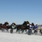 На Сибирской Масленице в Новотырышкино устроят грандиозные заезды на лошадях