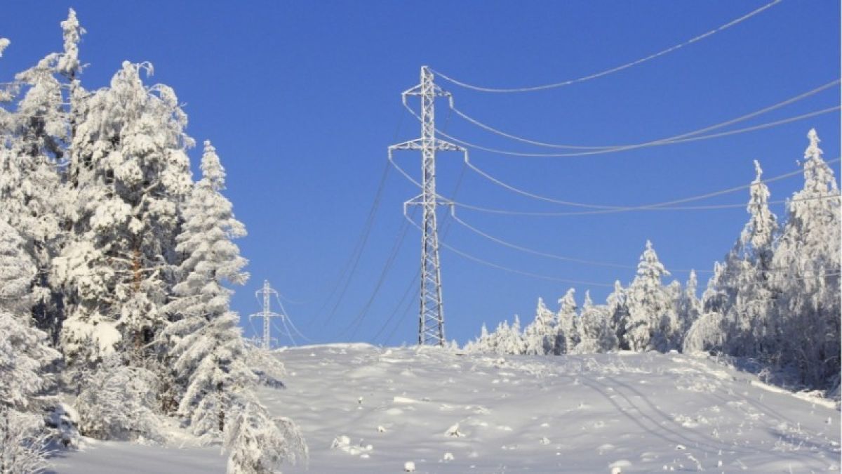 Как налипший на провода снег сказался на энергоснабжении Алтайского края