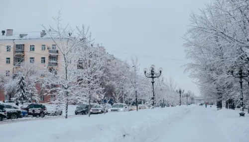 Туманы и мороз: 14 февраля в Алтайском крае снова похолодает