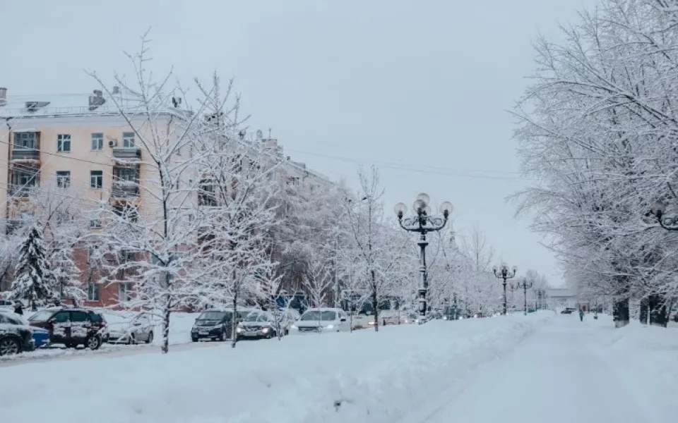 Ветреная и морозная погода пришла 25 ноября в Алтайский край