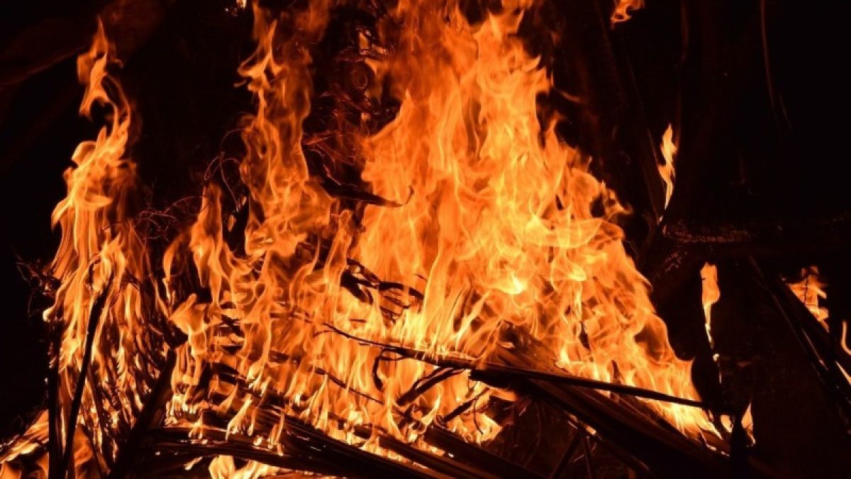 Три человека погибли в Алтайском крае при пожарах за последние сутки